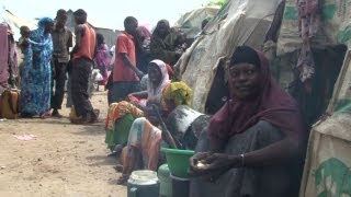 Fuel-Efficient Stoves Prevent Ual Violence And Generate Income For Families