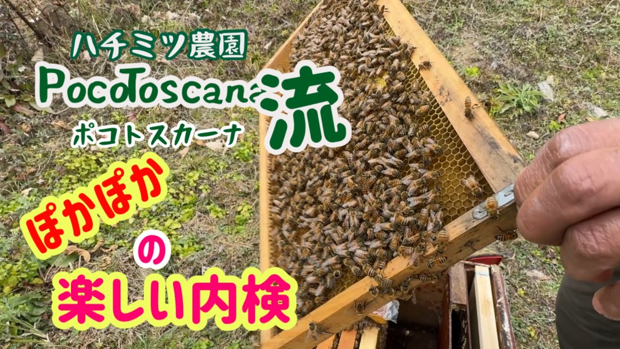ハチミツ農園PocoToscana流ぽかぽか陽気の楽しい内検