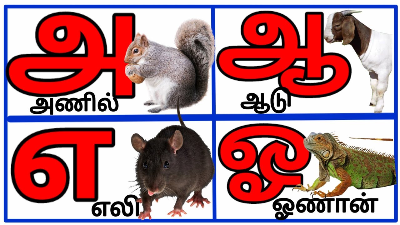 Uyir Ezhuthukal | Learn Tamil Alphabets/அ அம்மா 🤱 ஆ ஆடு 🐐 || அ ஆ இ ஈ ...