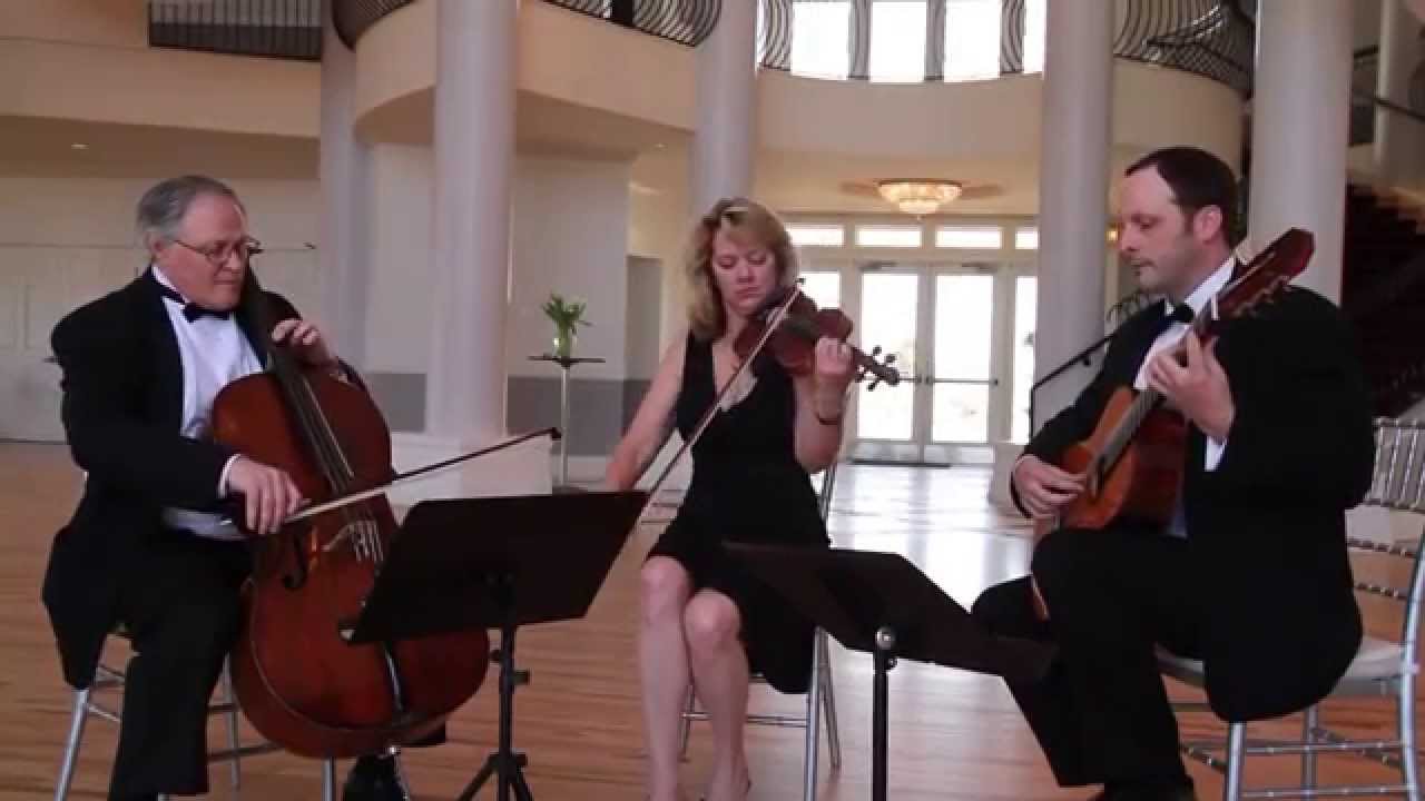 Guitar Trio with Violin and Cello | Wedding Music | Colorado Musicians | A Music Plus Entertainment
