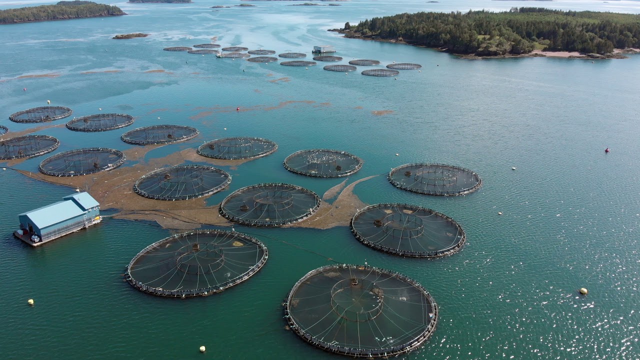 Deer Island, NB, Canada YouTube