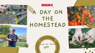Busy Day on the Homestead-Cooking, Harvest, Chickens, and More!