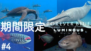【フォーエバーブルー】期間限定ダイビング【ルミナス】FOREVER BLUE LUMINOUS #4