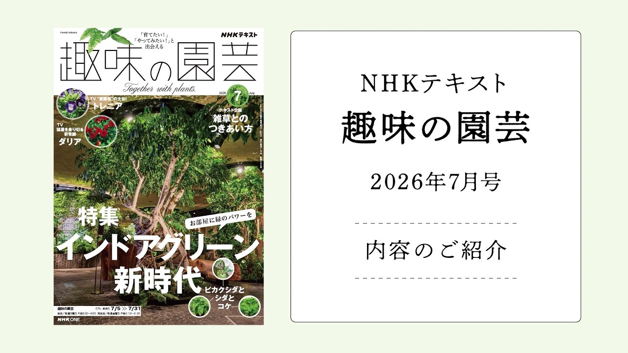 趣味の園芸』2026年7月号の紹介～インドアグリーン新時代〈観葉植物 