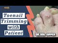 Is cutting toenails healthy? Take 2 Toenail Trimming with Dr Nail Nipper Patient (2019)