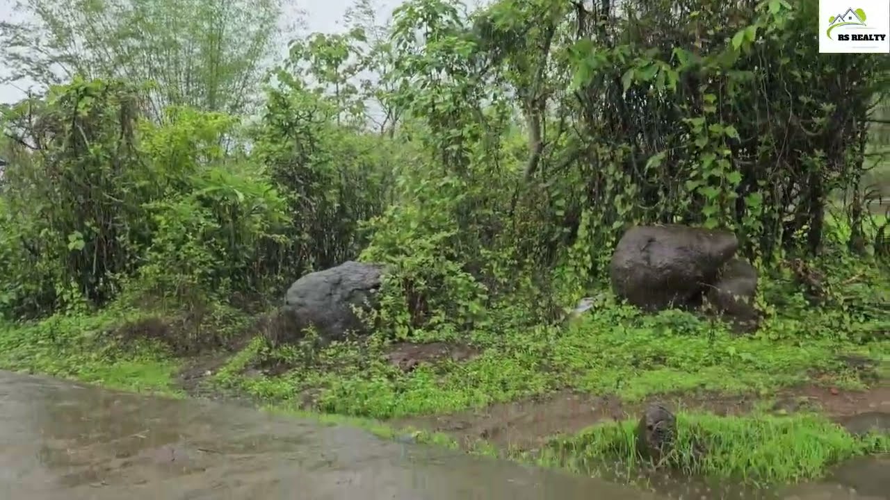 ❤️| Village Life in India | Kokan | Mangaon |❤️