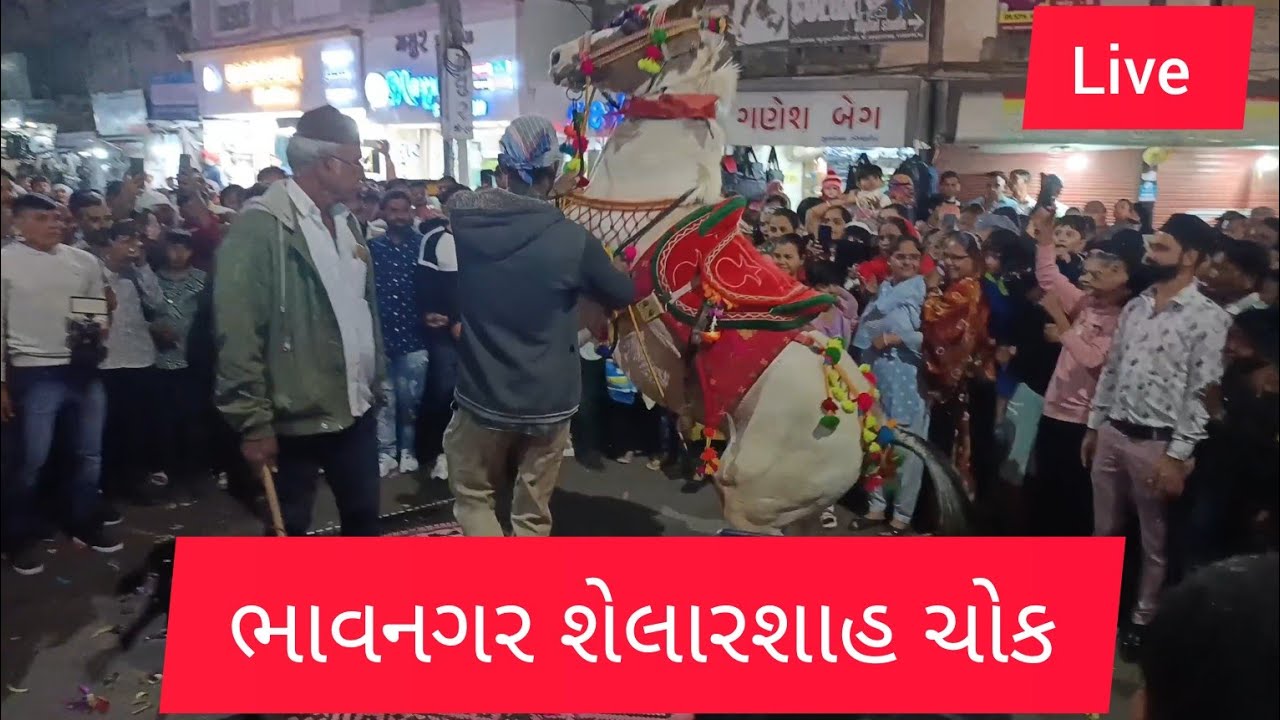 ભાવનગર શેલારશાહ ચોક | છઠ્ઠી શરીફ ભાવનગર 2025 ♥️chatti Sharif 2025 URSE-CHADAR JULUS BHAVNAGAR#vlog