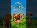 hadees