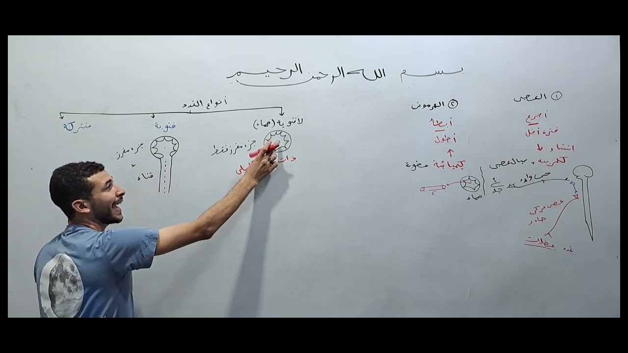 ثانوية عامة 2026 : شرح التنسيف الهرموني الجزء الأول