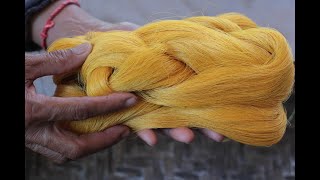 洗顔生糸 Sericin Organdy