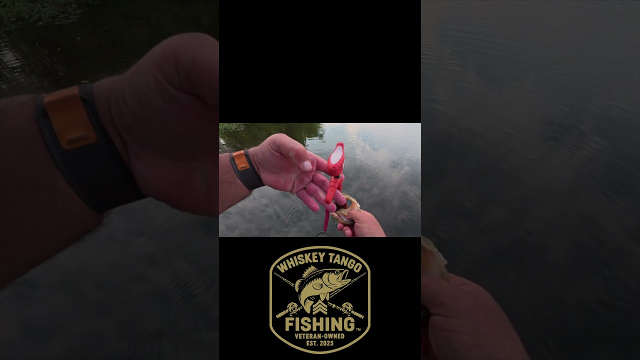 WTF Catch Cam 74 - Bass Keep Swallowing My Hooks!