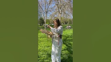 Backstrap weaving in the wild today! #weaving #handwoven #textiles