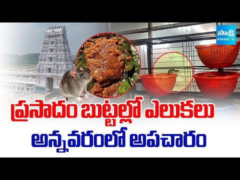 ప్రసాదంలో ఎలుకలు | Rats in Annavaram Prasadam Counter | Chandrababu Fails | Sakshi TV - SAKSHITV
