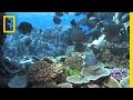 Breathing Exercise Techniques and Focus