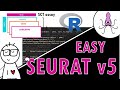 Seurat v5: structure and main workflow easily explained!