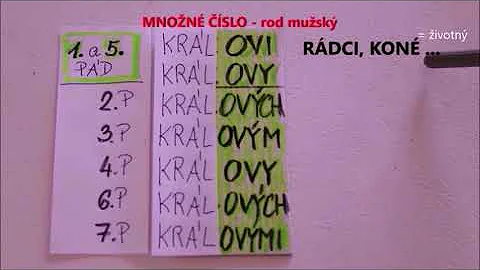 Jaké jsou vlastnosti přídavných jmen?