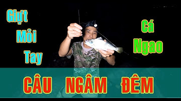 Tàn Sát Cá Ngao - Câu Ngâm Đêm Bờ Ghành | Vinh Bụi TV | #082
