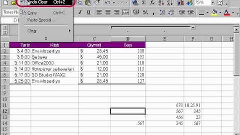 Microsoft Excel 2003 Azərbaycanca - Dərs 4.2 Əməliyyatın təkzibi