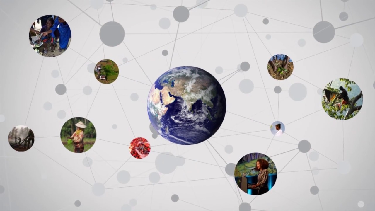 Creating communities to combat climate change – 2016 Global Landscapes Forum in Marrakesh