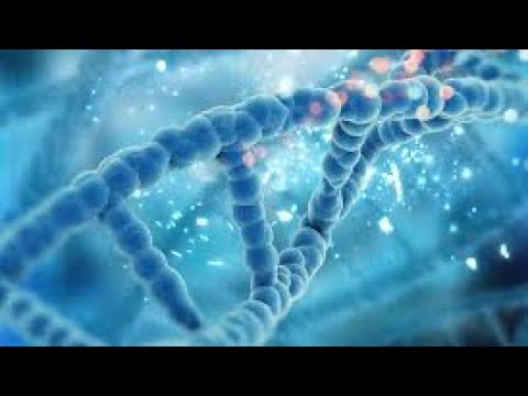 Regulation of gene expression in prokaryotes and eukaryotes - YouTube