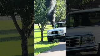 HORNET EXTERMINATION FOR DUMMIES #nitrousexpress #powerstroke #automobile #mechanic #nitrous