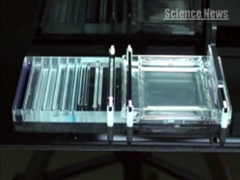 [ScienceNews]　（４２）タンパク質の分析時間を１０分の１に短縮～全自動２次元電気泳動装置の開発～