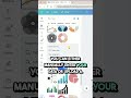 How to create amazing charts in Canva?