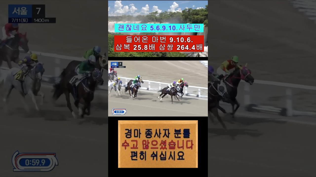 5.6.9.10.사두만 9.10.6.들어와 삼쌍 264.4배 괜찮네요