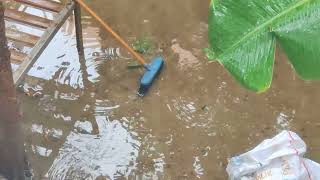 Yağmurlu Havada Su Damlası