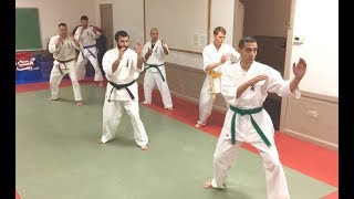 Enshin Karate SF/ Basic Sabaki Training screenshot 4