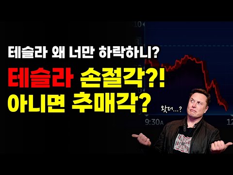 악재 때문에 급락하고 있는 테슬라(TSLA), 최선의 대응 방법은? 단기적인 바닥은 어디? FEAT(TQQQ, AMZN)