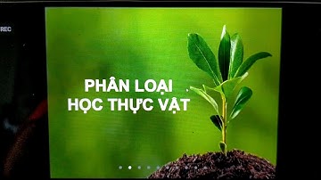 Thực vật dược: Phân Loại Học Thực Vật