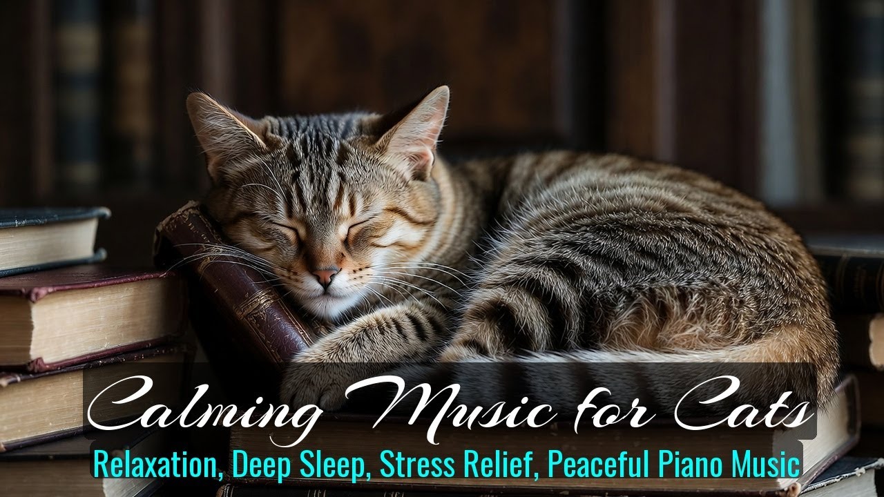Calming Music for Cats - Relaxation, Deep Sleep, Stress Relief, Peaceful Piano Music | Season 48