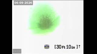 12127 Emerald Ln 2026 06 09 10 58 57