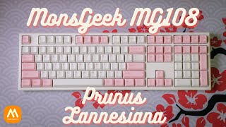 UNBOX, REVIEW & SOUND TEST Bàn phím cơ MonsGeek MG108 Prunus Lannesiana