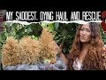 Dying Haul & Rescue Mission, I WON'T LET MY PLANT BABIES DIE! Let's Save Plants