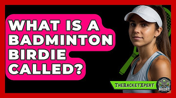 What Is A Badminton Birdie Called? - The Racket Xpert
