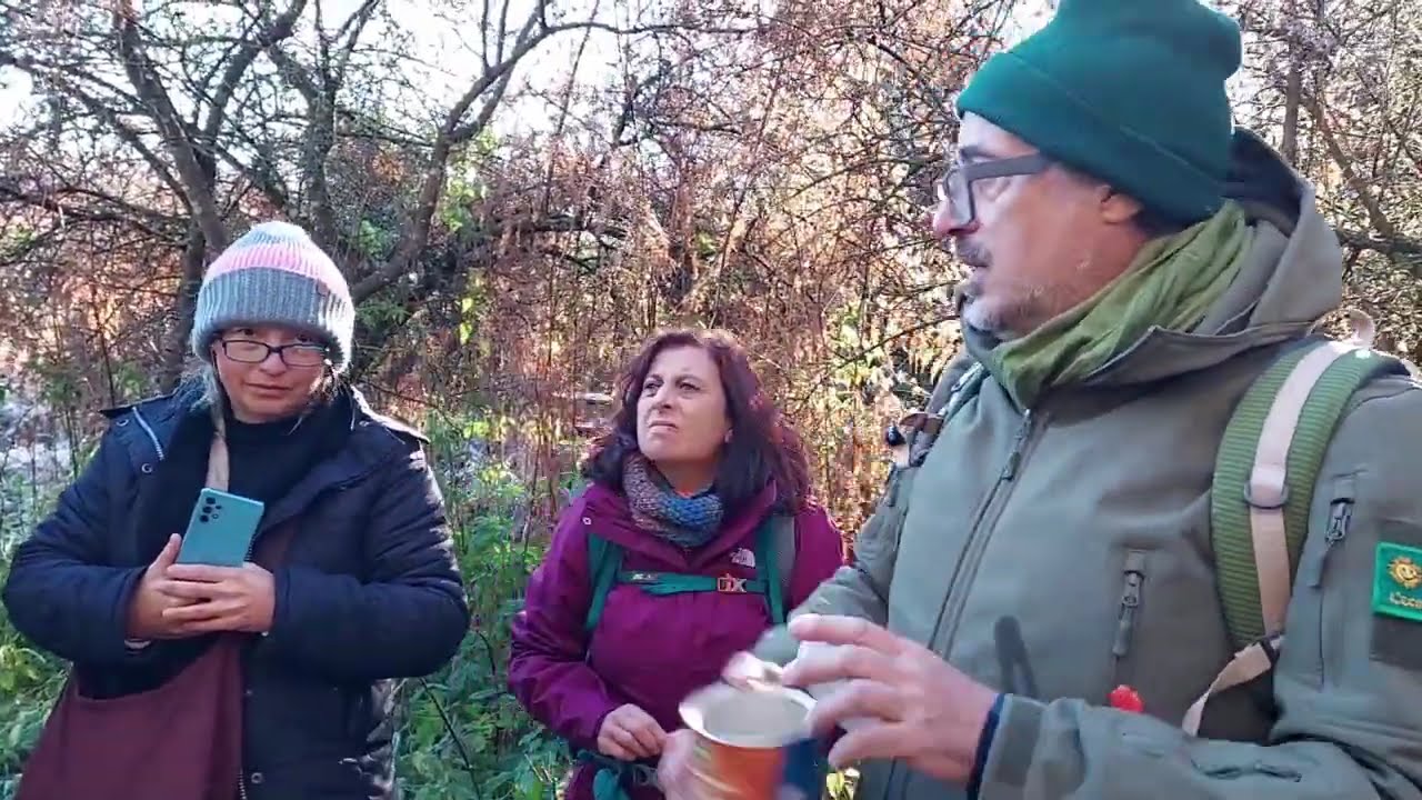 Fitosociologia del Bosco del Cerquone