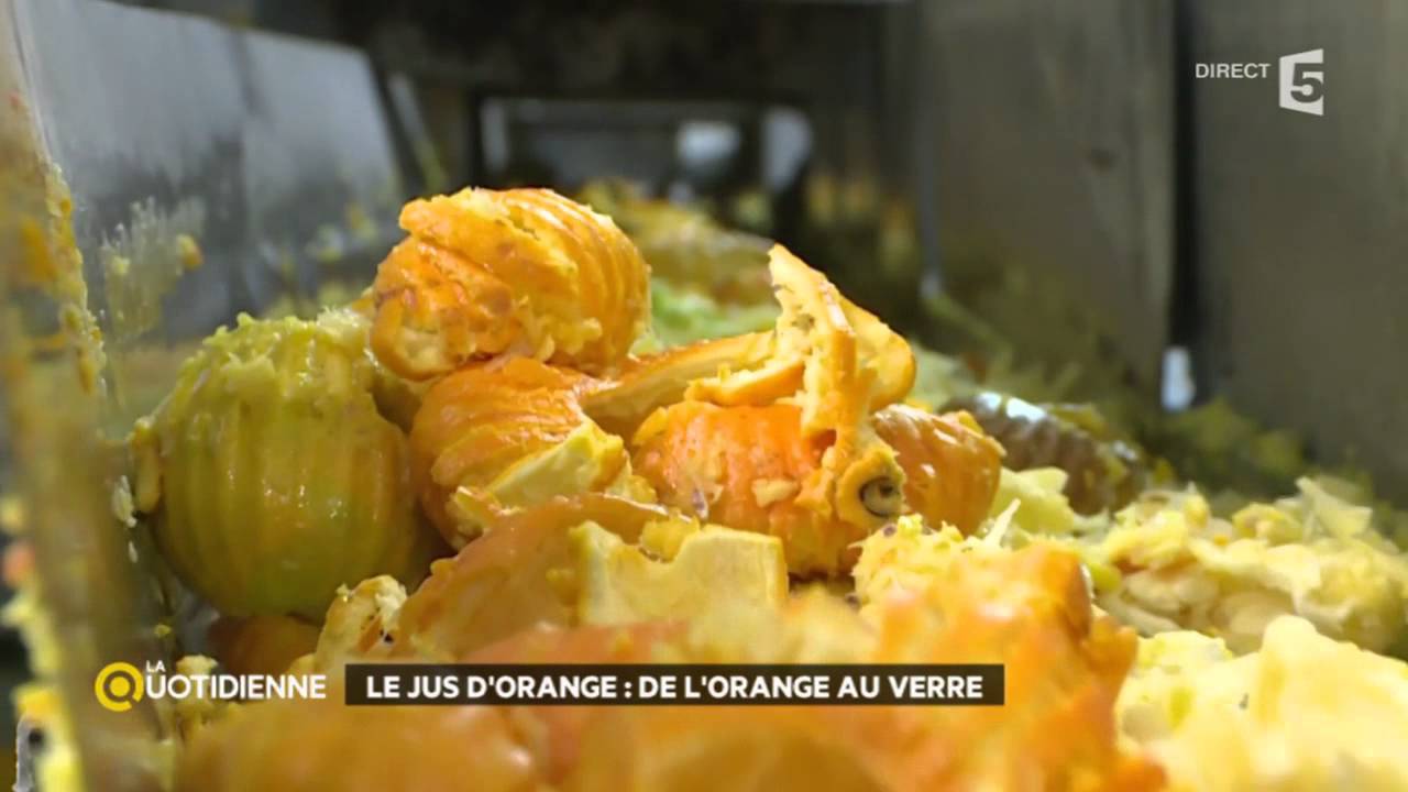 Le jus d'orange : de l'orange au verre