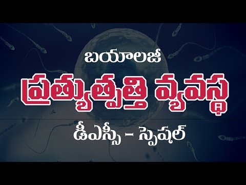 TET/TRT & DSC || Reproductive System || Biology Telugu Medium