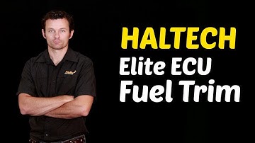 Haltech Elite: Long and Short Term Fuel Trim