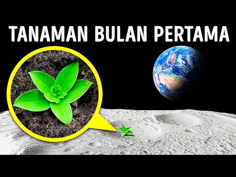 Video: Liburan yang Anda pikir tidak bisa Anda bawa bersama anak-anak