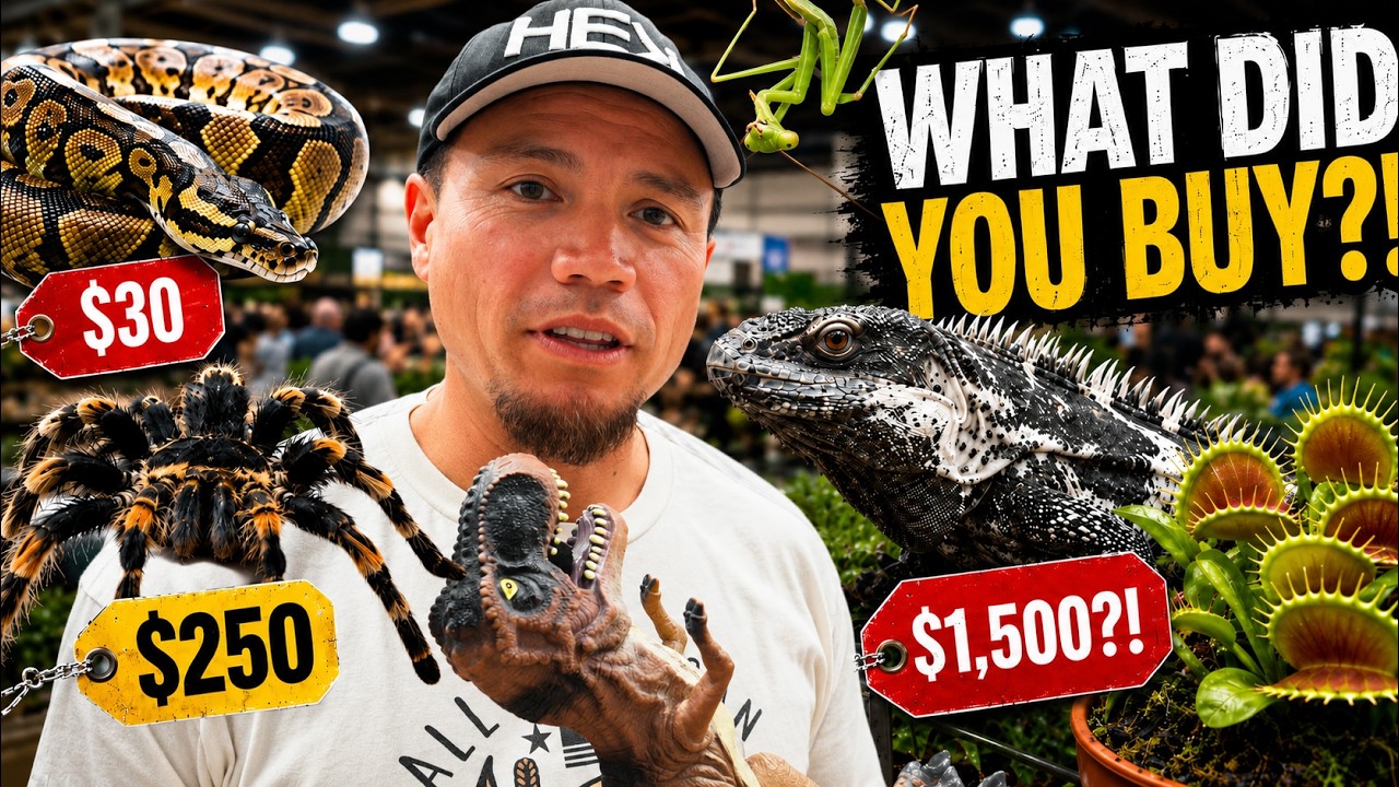 I Asked Reptile Expo Customers What They Bought… And How Much They Paid