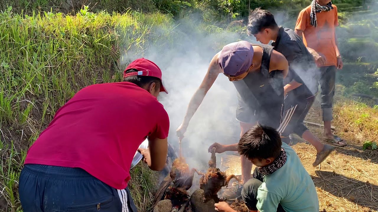 Hunting in jungle YouTube