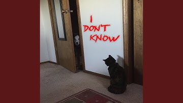 Goose the Algorithm (The Spotify Song)