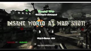 INSANE WORLD AT WAR SHOT!