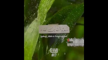 واستغفروا الله إن الله غفور رحيم عبد الرحمن مسعد حالات واتس اب دينية قصيرة مؤثرة قرآن كريم تلاوة