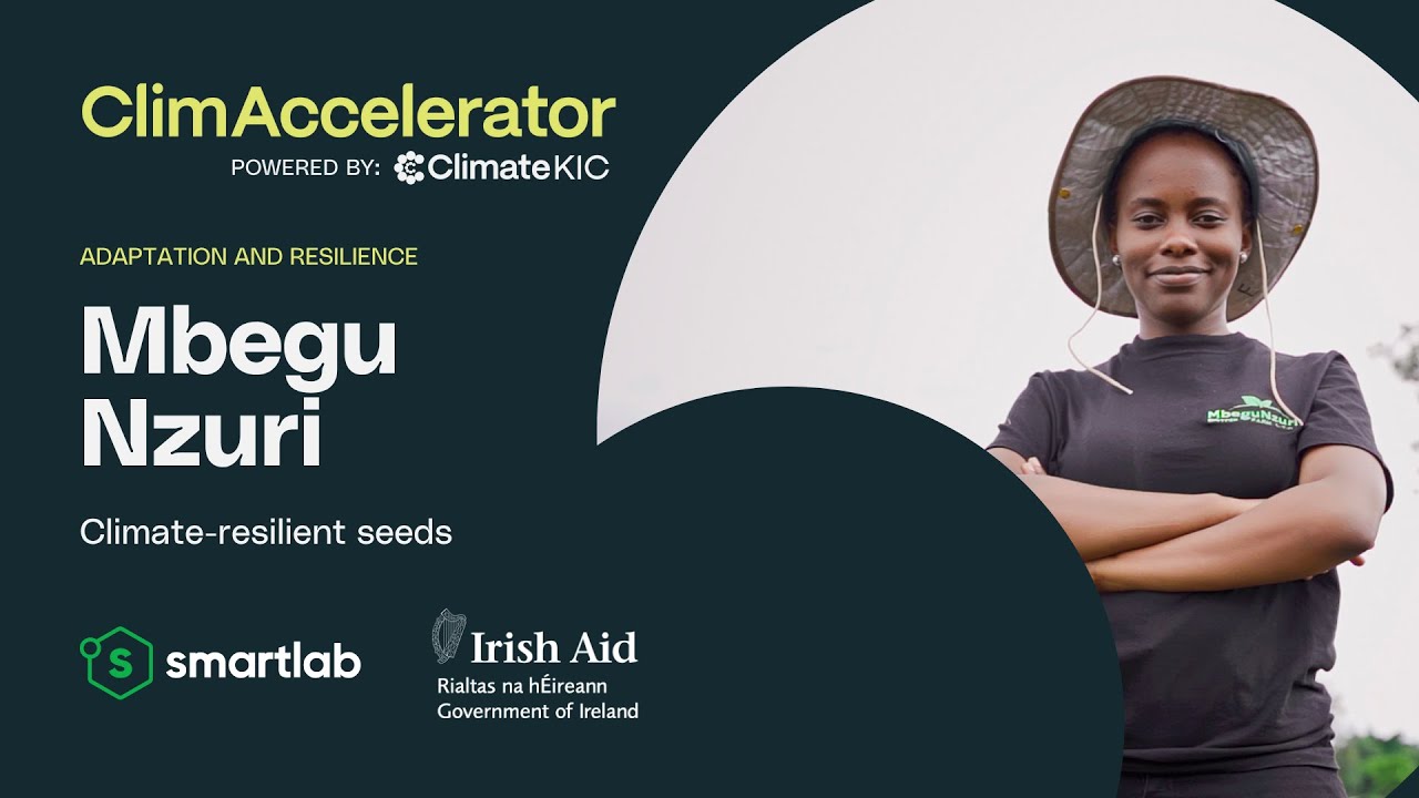 When Quality Seeds Change Everything | Mbegu Nzuri Story