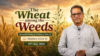 The Wheat Among the Weeds | 16th Sunday in Ordinary Time (Year A) Homily 19 July 2026