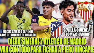 ATLETICO DE MADRID VA CON TODO PARA FICHAR A PIERO HINCAPIE! SEVILLA QUIERE A TOMY CHAMBA Y MAS